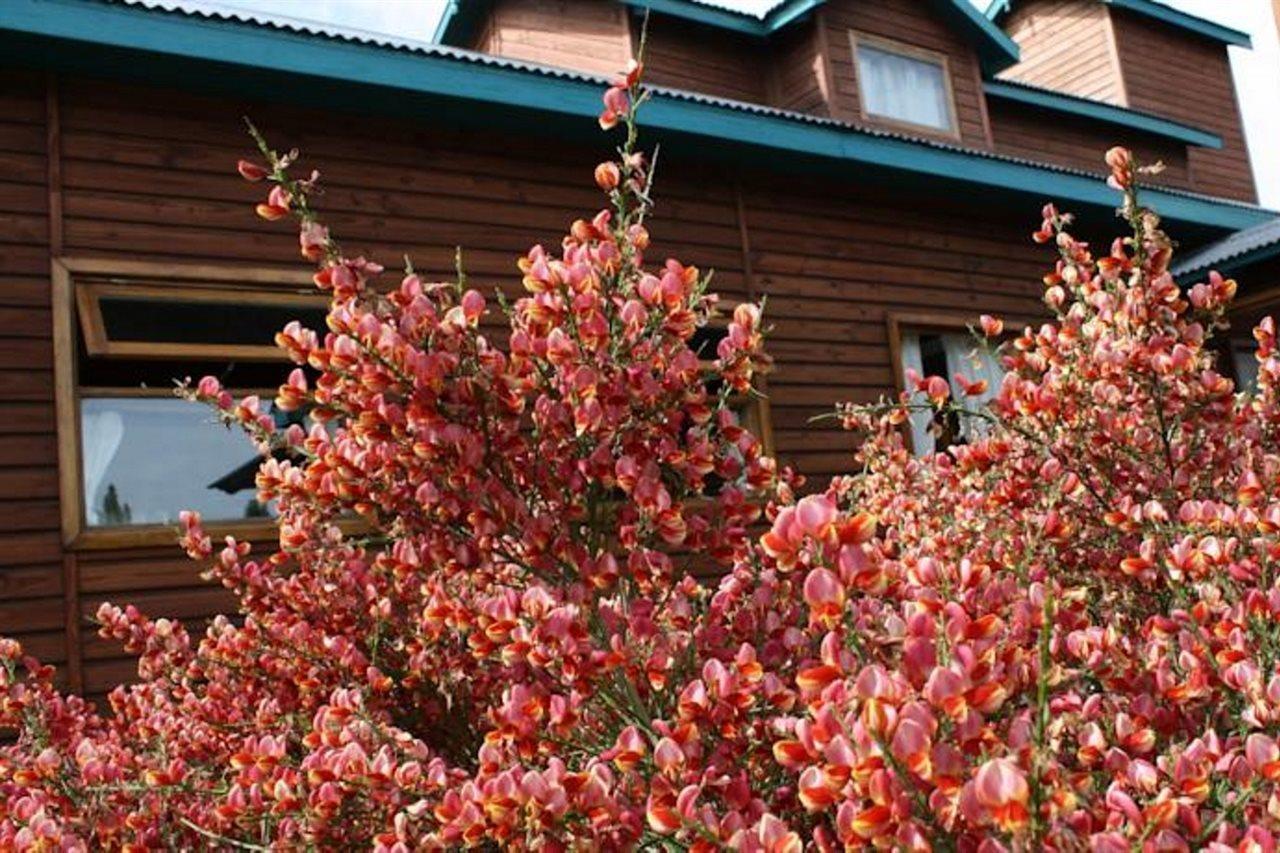 Hosteria Hainen El Calafate Exterior photo
